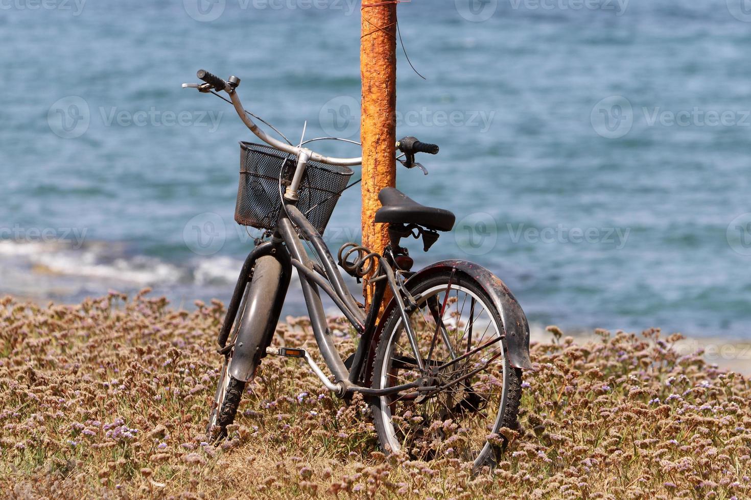 Bicycle in the city park near the sea. photo