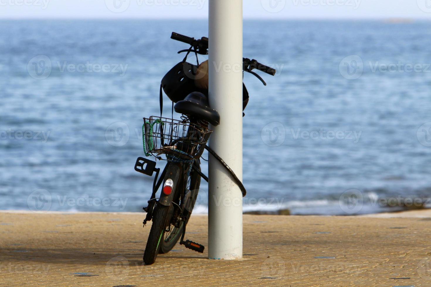 Bicycle in the city park near the sea. photo