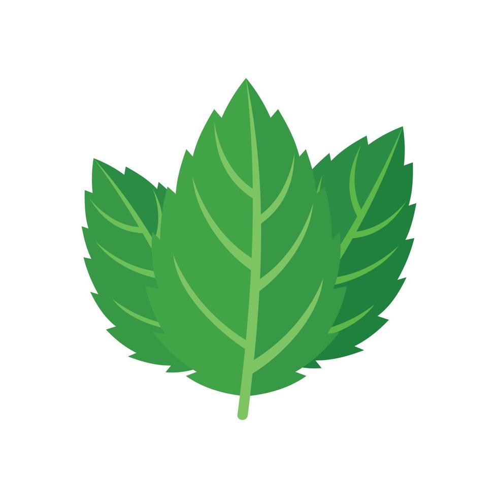 Mint leaf icon flat isolated vector