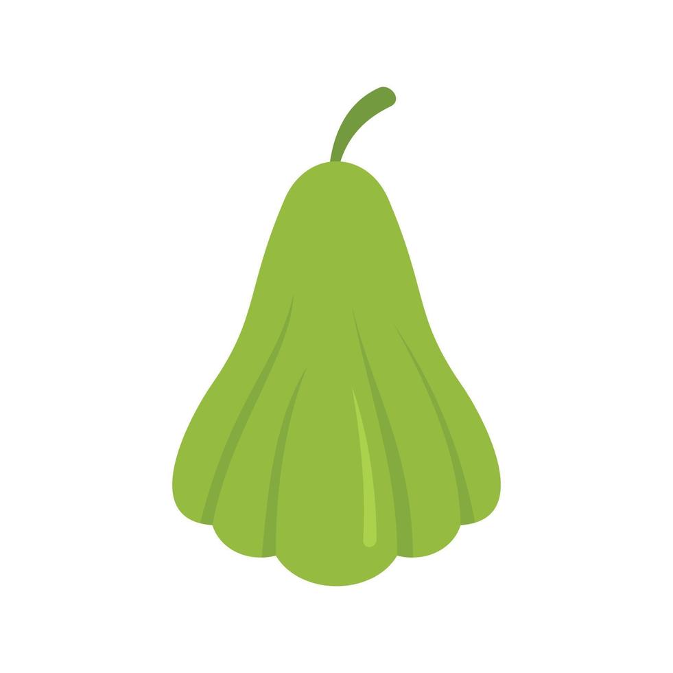 Chayote plant icon flat isolated vector