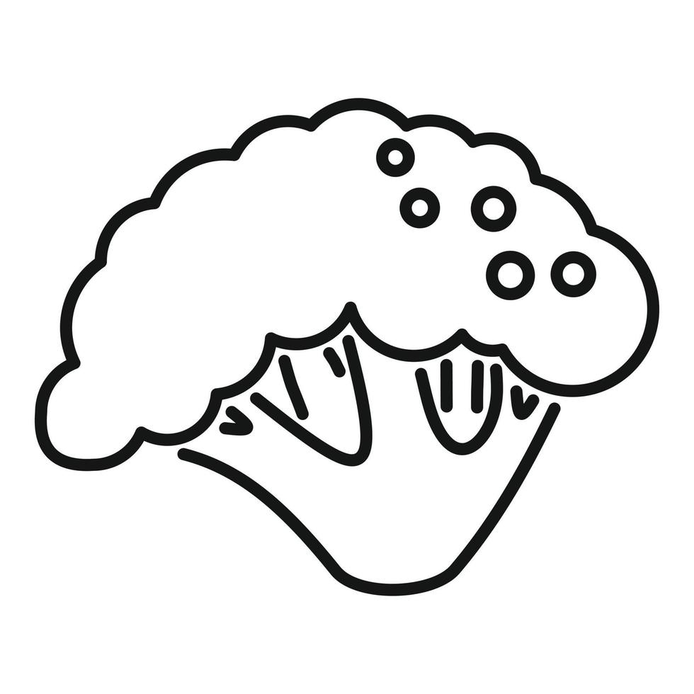 Vegan brocoli icon outline vector. Vegetable cabbage vector