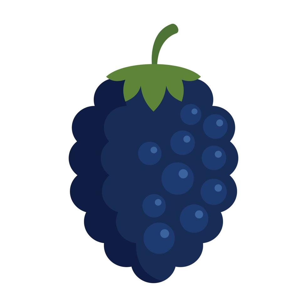 Natural blackberry icon flat isolated vector