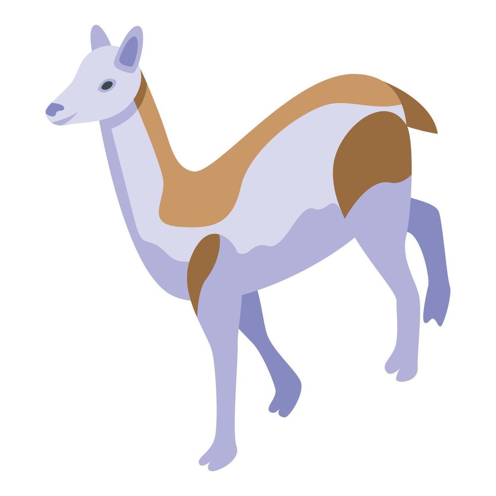 Lama animal icon isometric vector. Cute lama vector