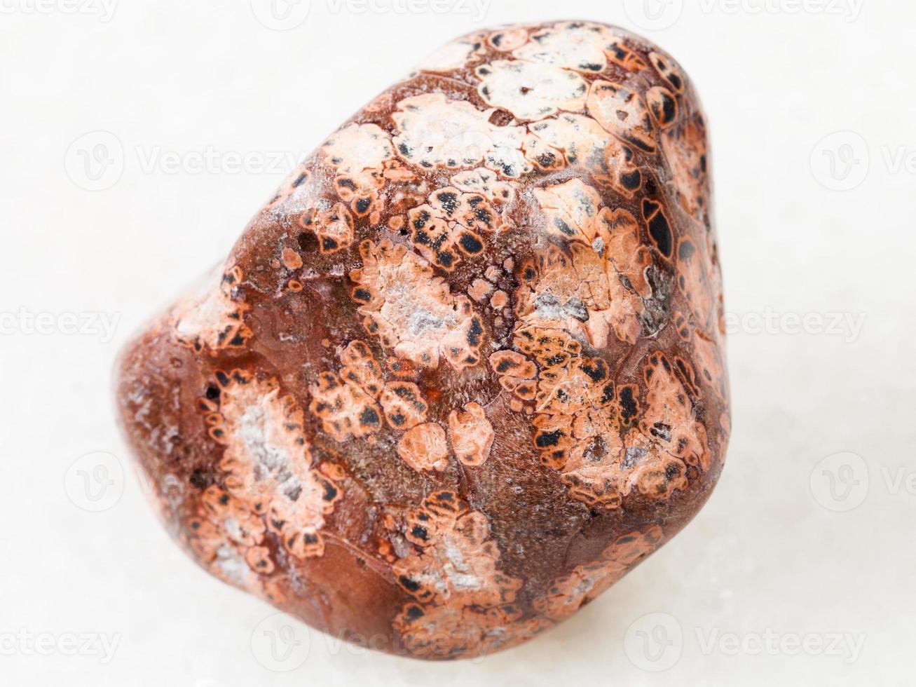 tumbled leopardskin jasper gemstone on white photo