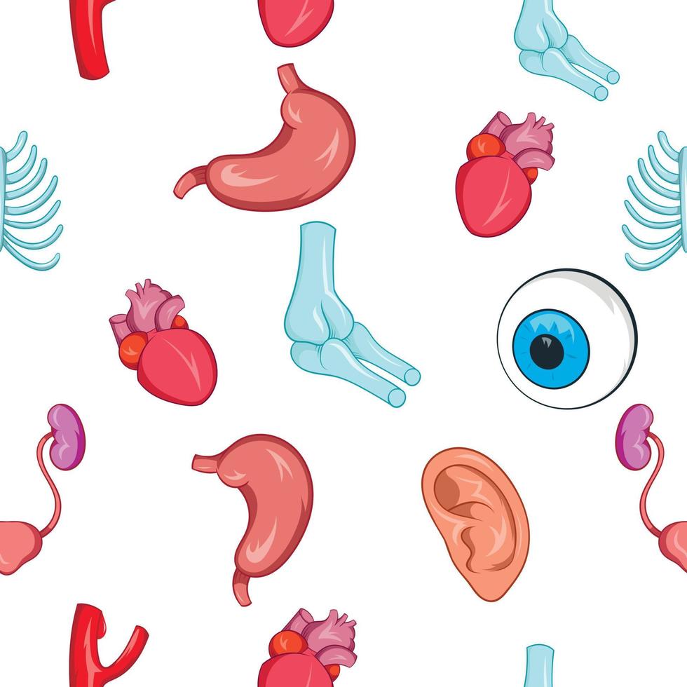 Internal organs pattern, cartoon style vector