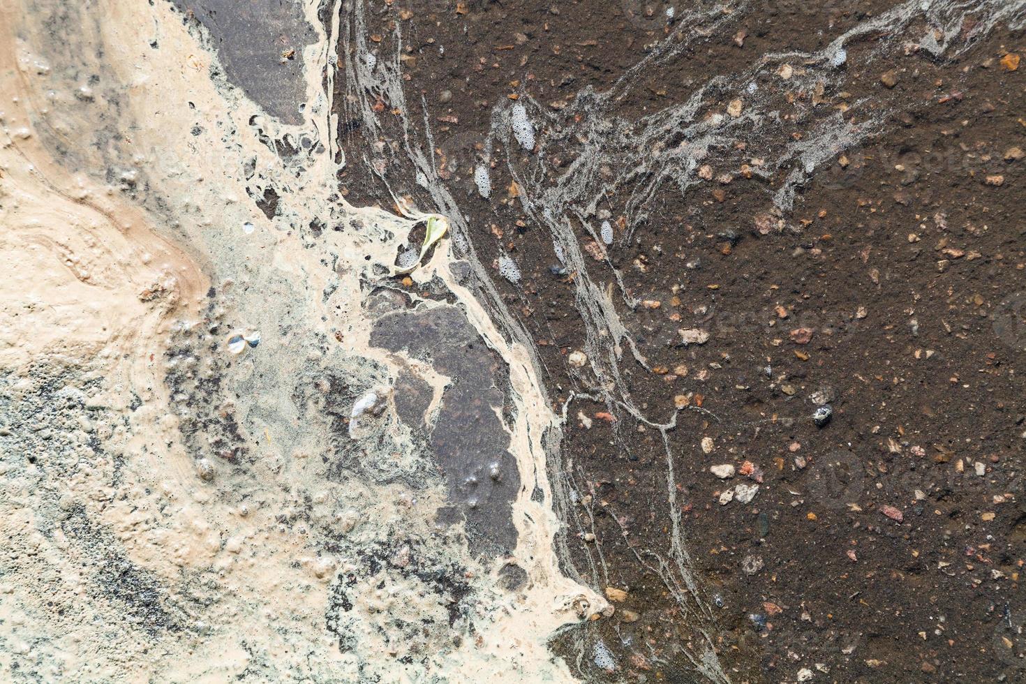 many birch pollen in puddle after rain in spring photo