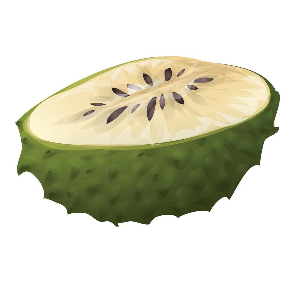 vector de dibujos animados de icono de planta tropical. fruto de la hoja