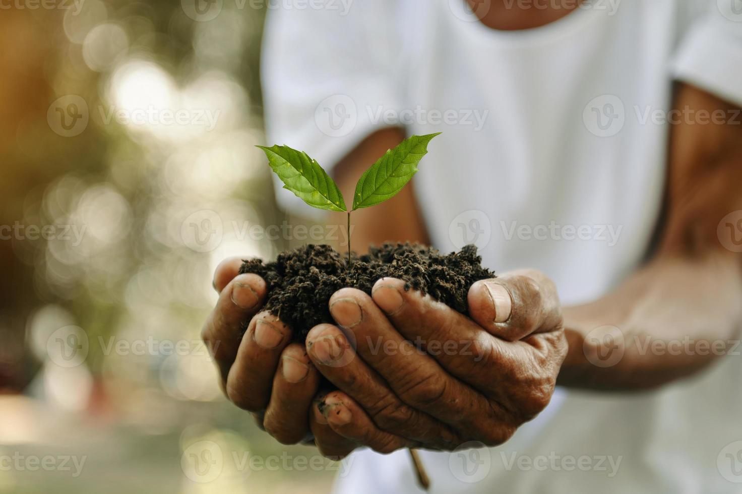 Man hands grabbing earth with a plant.The concept of farming and business growth. photo