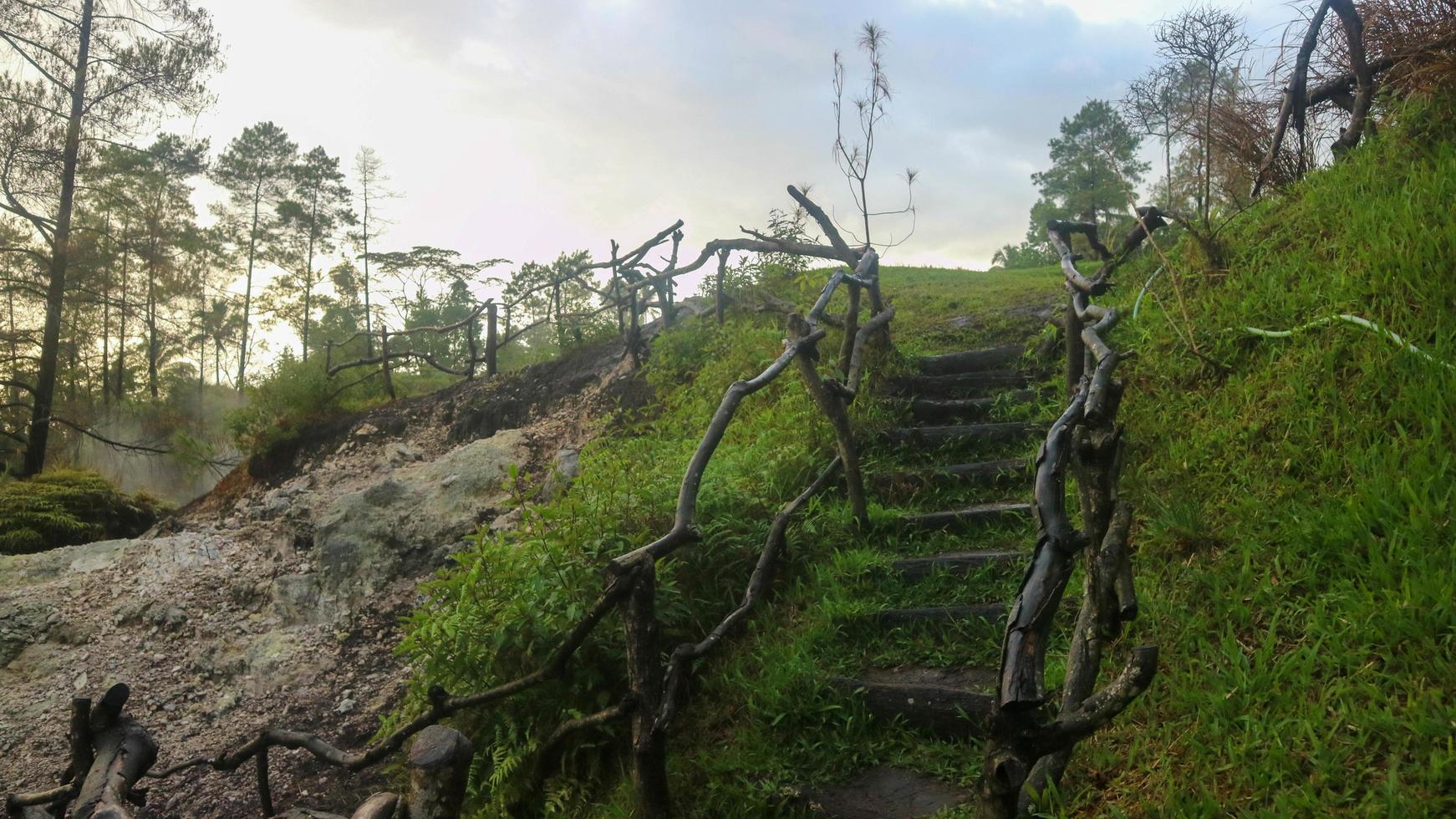 stairs made of wooden branches at a tourist spot photo