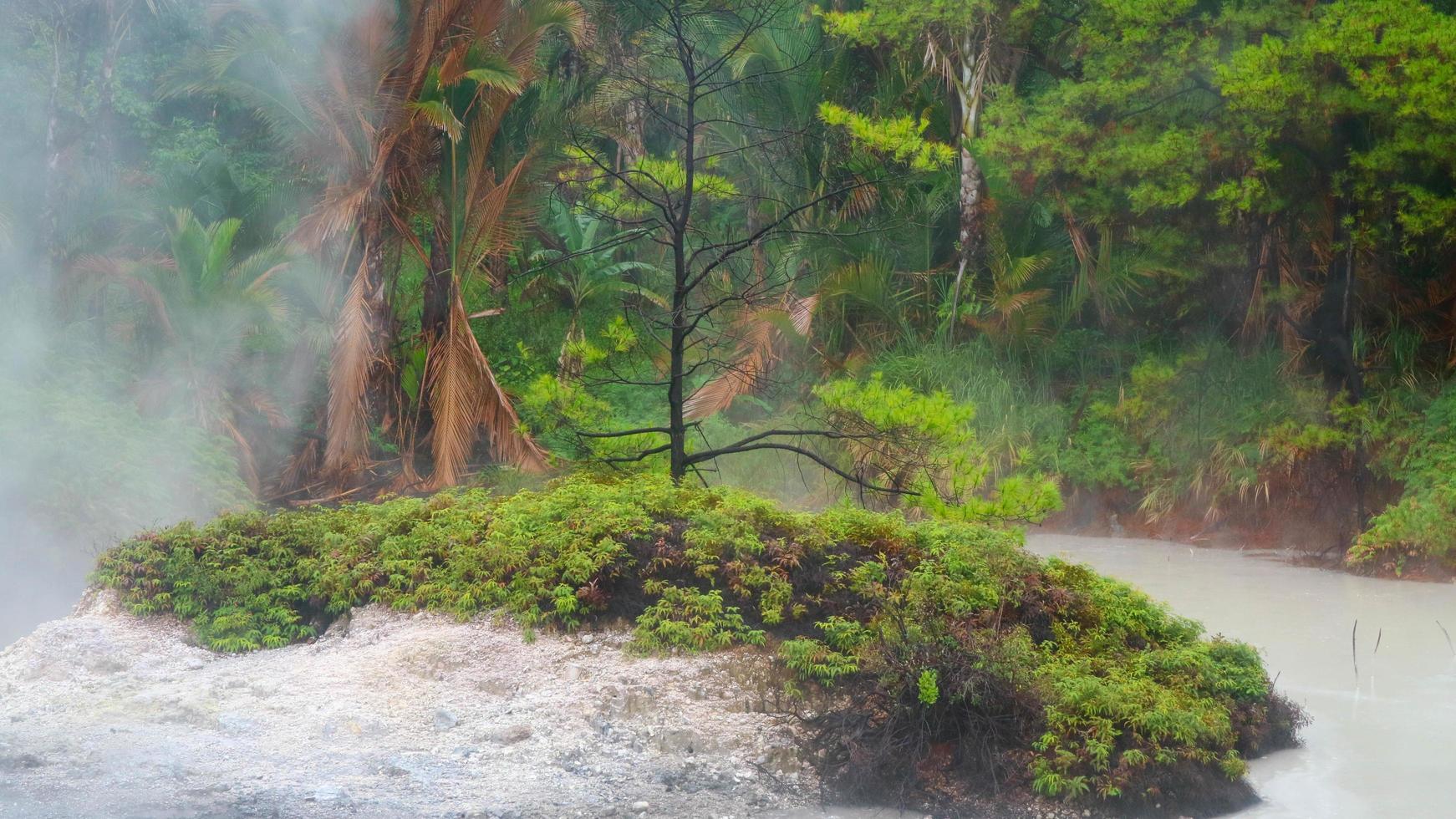 Hot spring lake with green trees photo