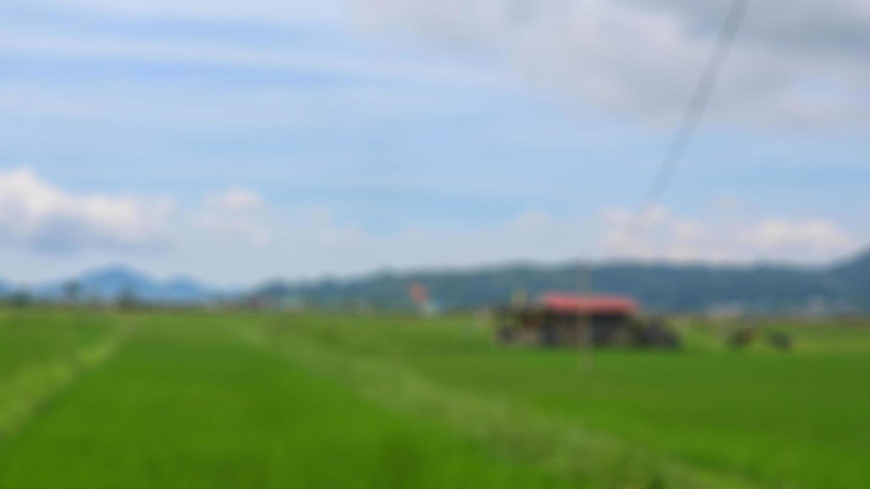 cabin in the middle of the rice fields surrounded by hills photo