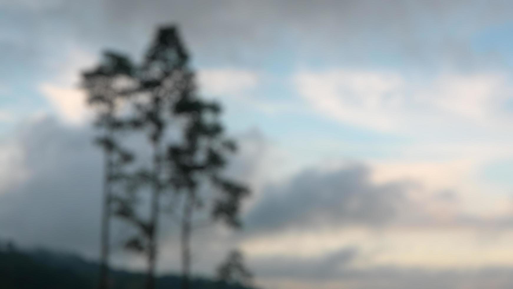 a tree on a hill with cloudy sky photo
