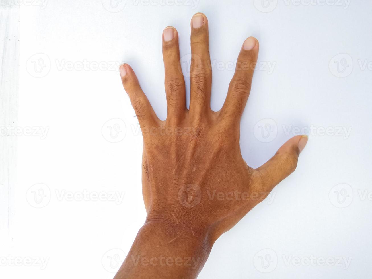 man's hand has a stop sign photo
