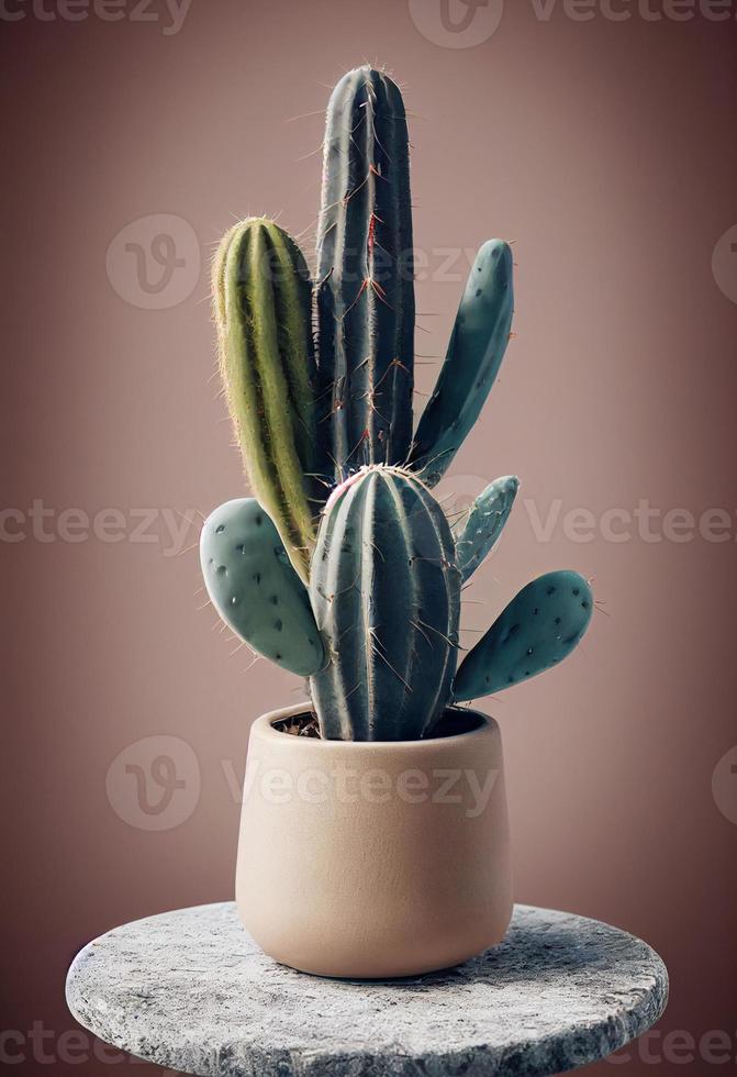 Beige ceramic pot with succulent, cactus on natural stone podium. Studio photo