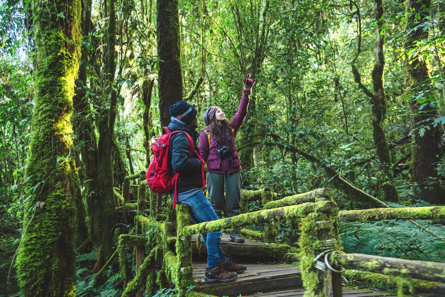 Couples traveling, relax in winter. walking travel to study nature in the rainforest. at the angka, Chiangmai in Thailand. photo