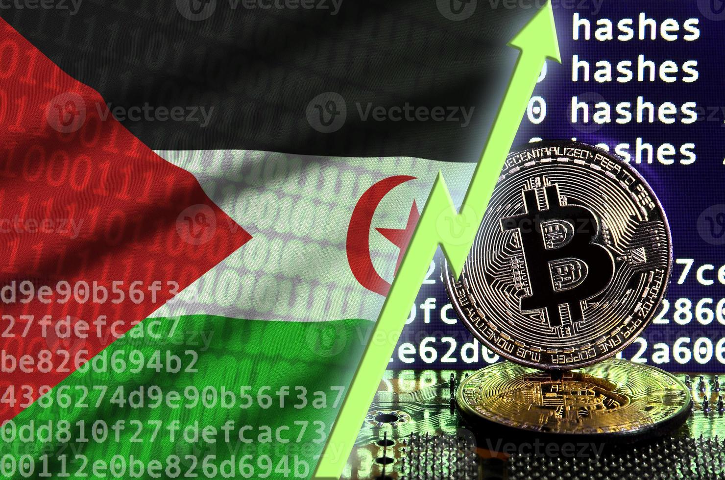 Western Sahara flag and rising green arrow on bitcoin mining screen and two physical golden bitcoins photo