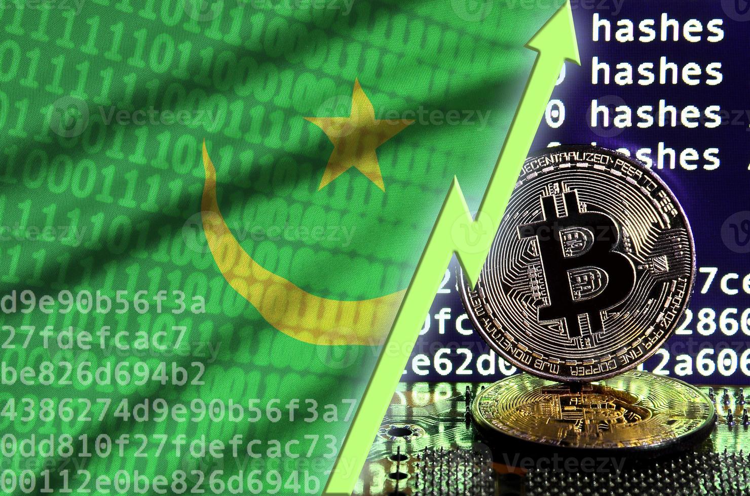 Mauritania flag and rising green arrow on bitcoin mining screen and two physical golden bitcoins photo