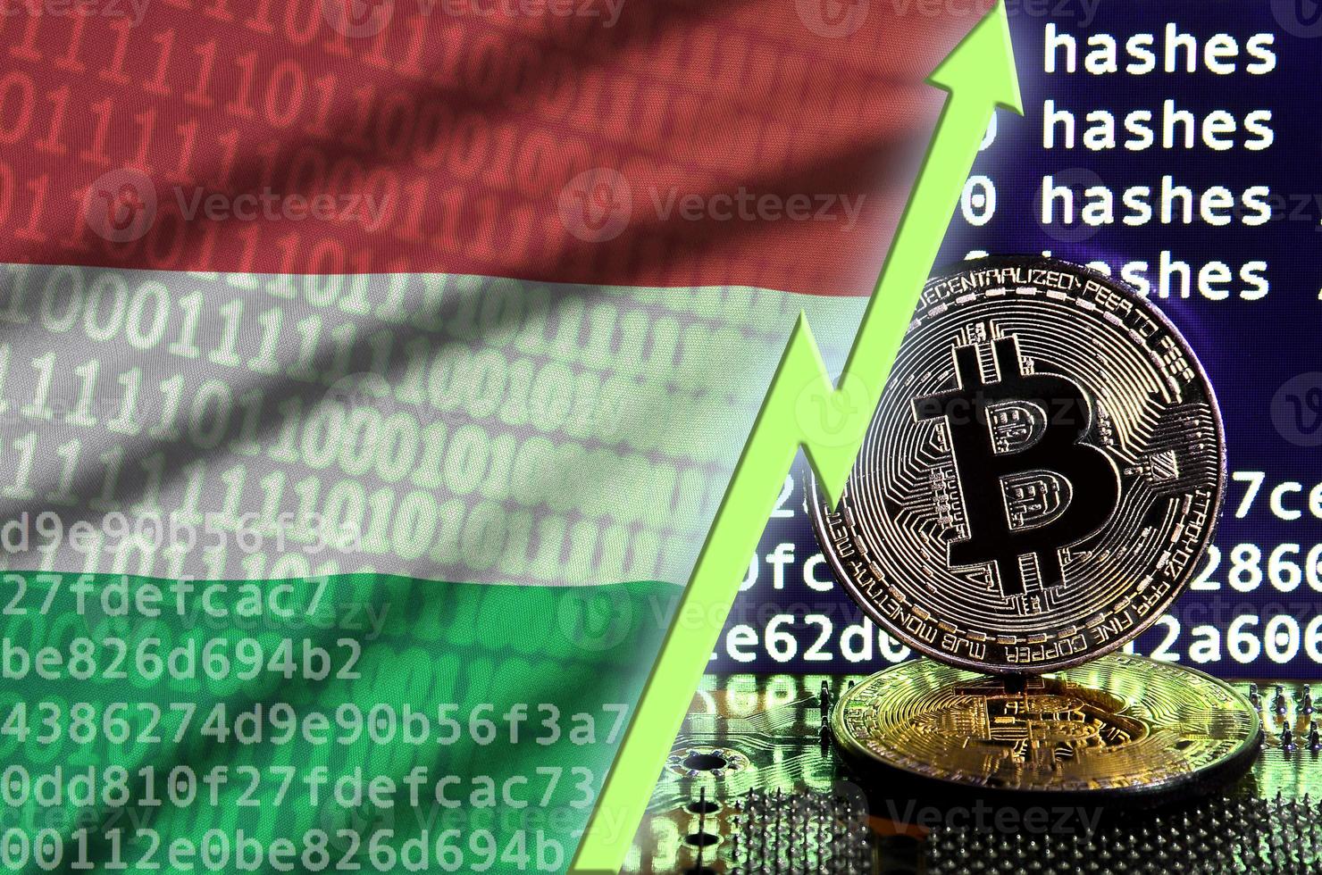 Hungary flag and rising green arrow on bitcoin mining screen and two physical golden bitcoins photo