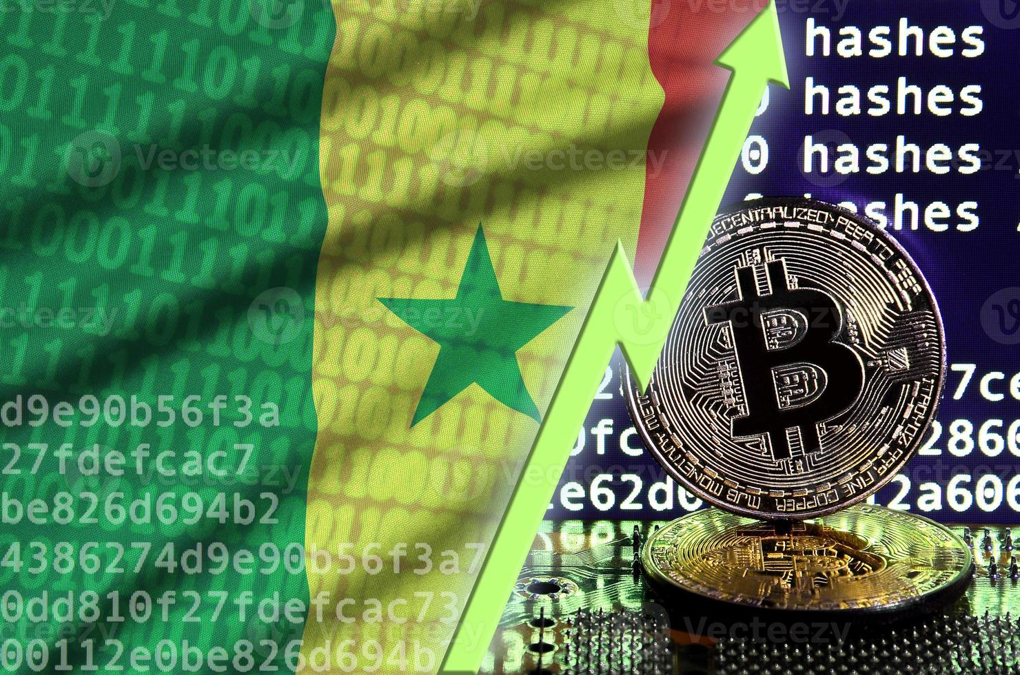 Senegal flag and rising green arrow on bitcoin mining screen and two physical golden bitcoins photo