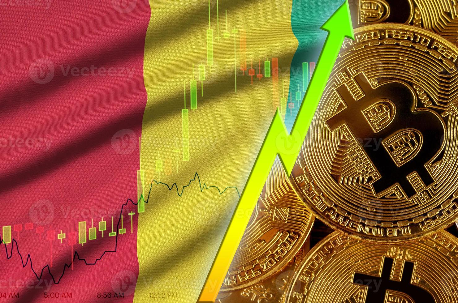 Guinea flag and cryptocurrency growing trend with many golden bitcoins photo