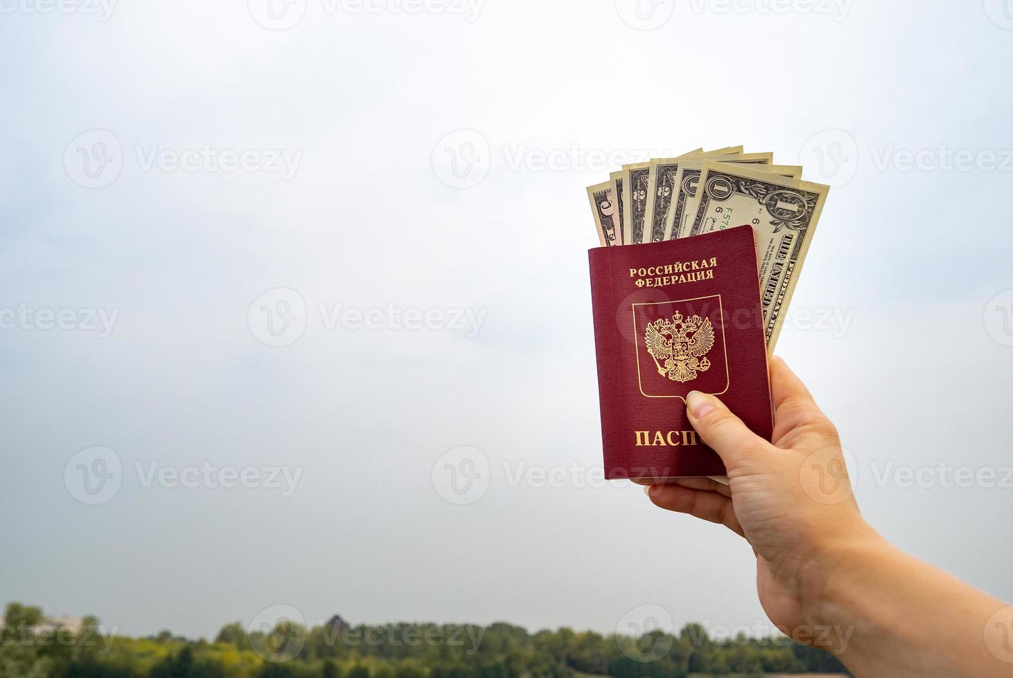 A foreign passport and dollars in your hand, against the background of nature. photo