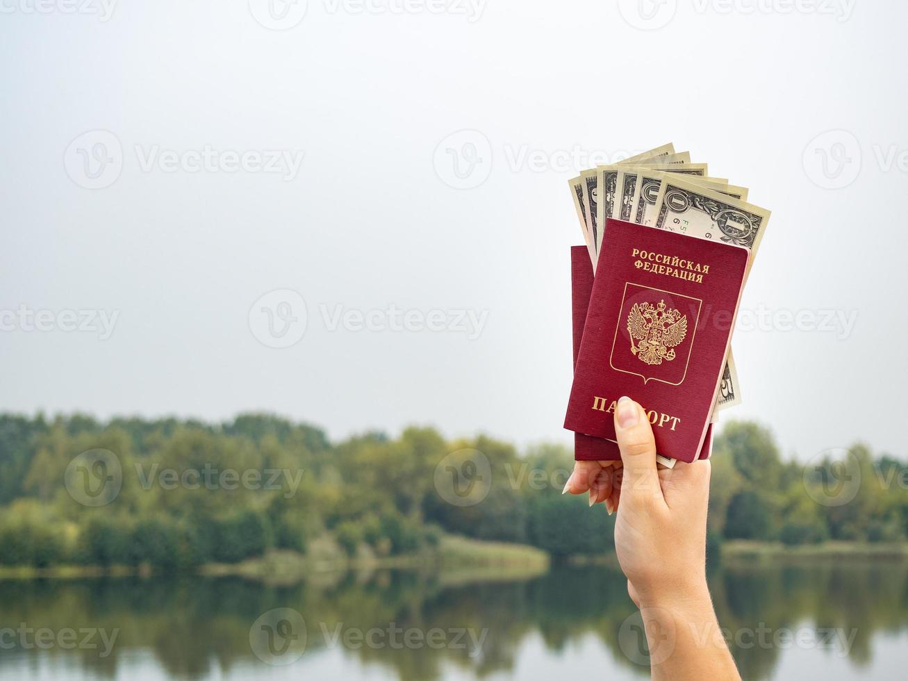 A foreign passport and dollars in your hand, against the background of nature. photo