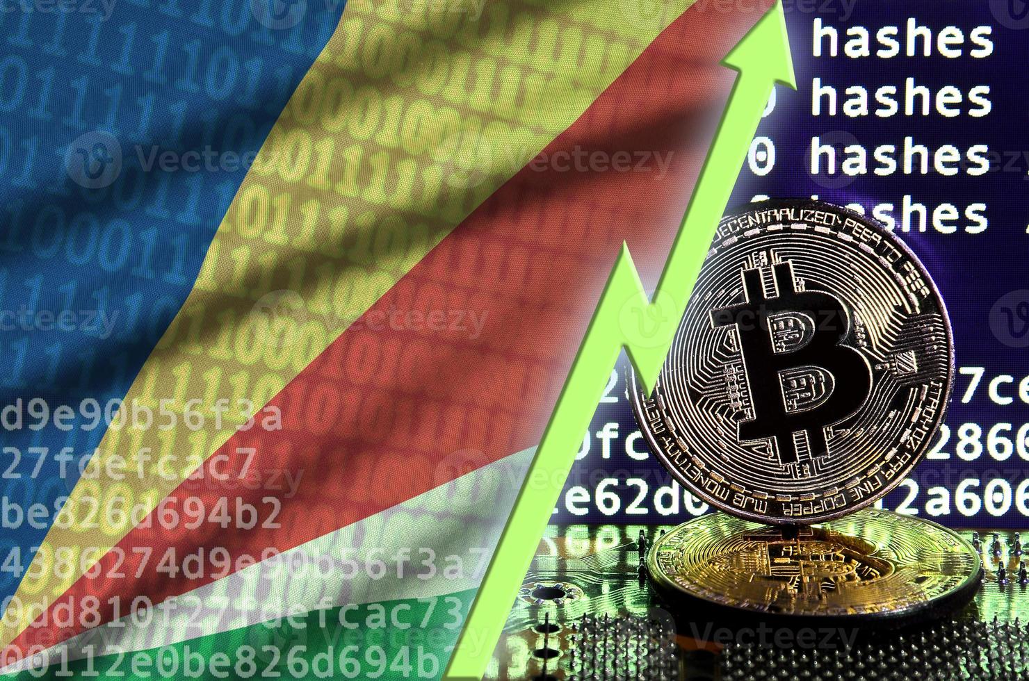 Seychelles flag and rising green arrow on bitcoin mining screen and two physical golden bitcoins photo
