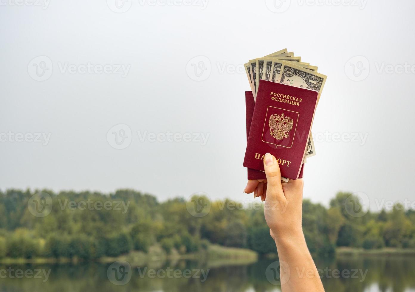 un pasaporte extranjero y dólares en la mano, en el contexto de la naturaleza. foto