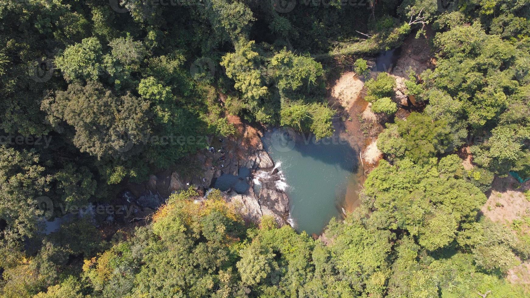 High angle view of a pond surrounded with trees photo