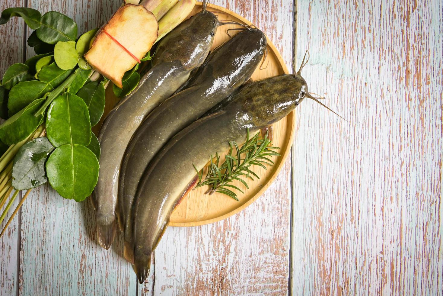 bagre en el plato, bagre crudo fresco, pescado de agua dulce, bagre para cocinar, pescado con ingredientes de hierbas para sopa caliente y agria sobre fondo de madera foto