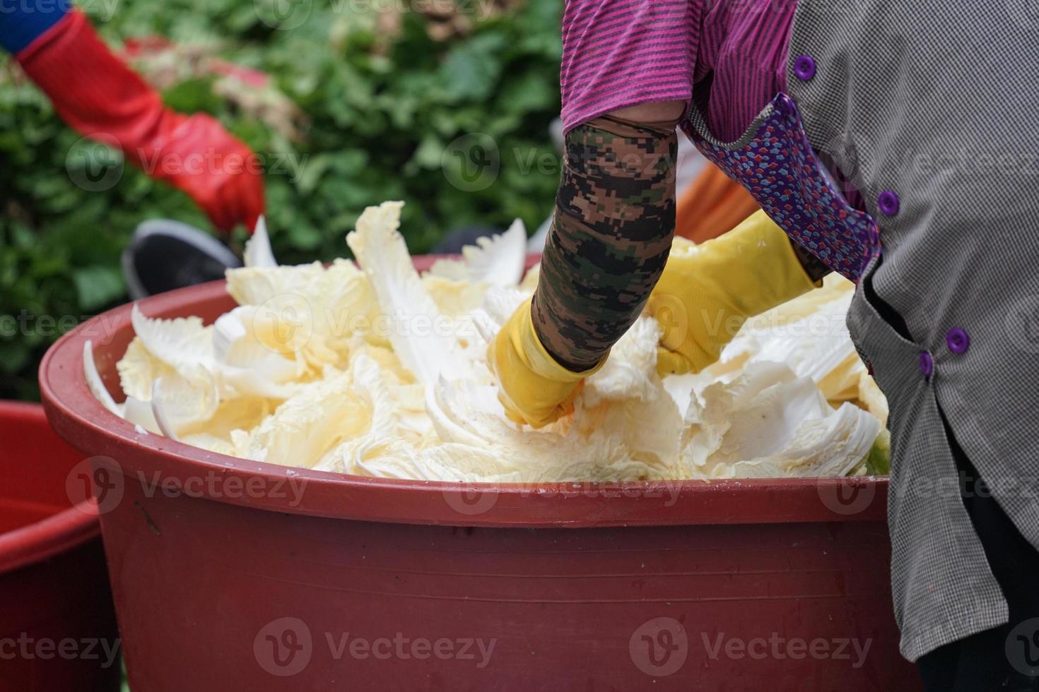 December in Korea, Kimchi Culture photo