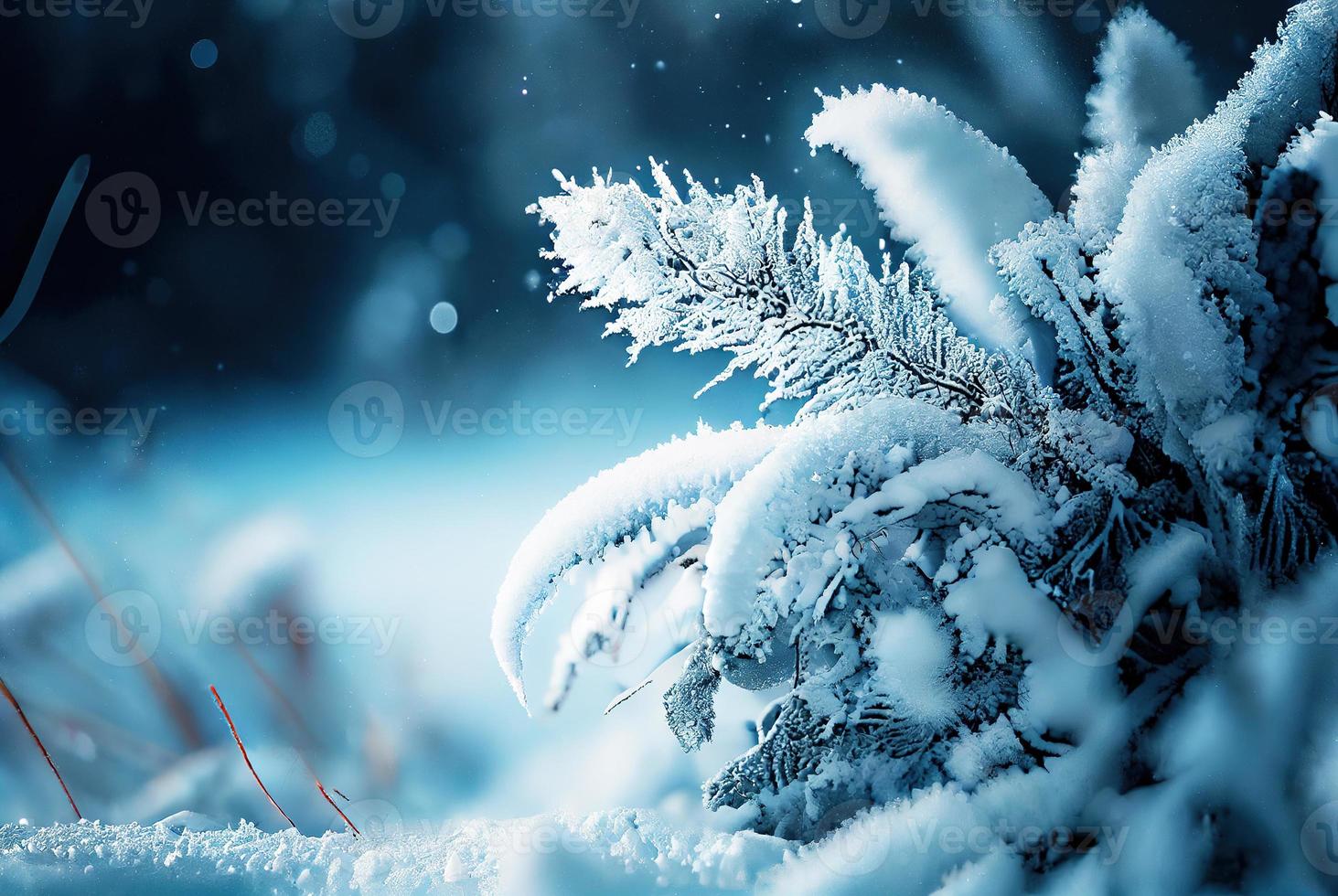 fondo de invierno de nieve y escarcha foto