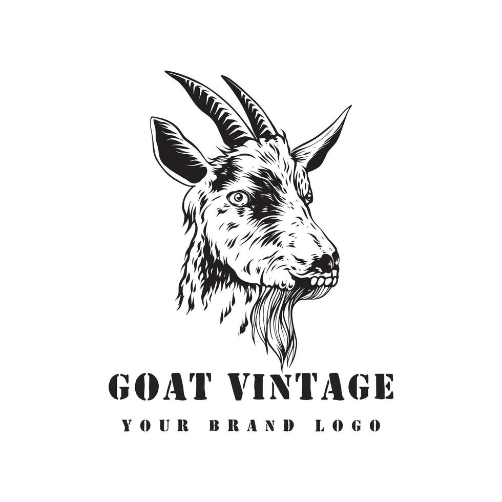 head goat logo vintage vector