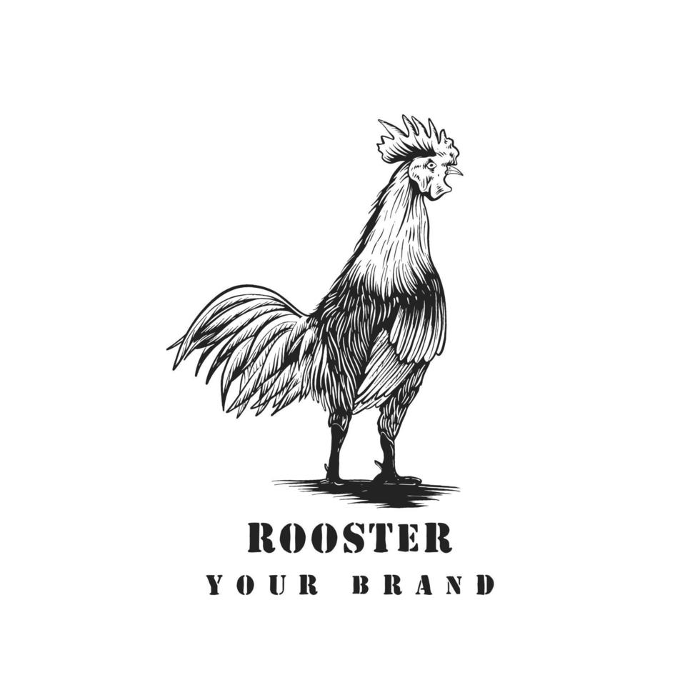 hand drawn Rooster vintage logo vector