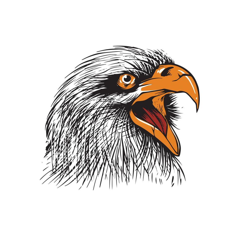 hand drawn eagle head illustration vector