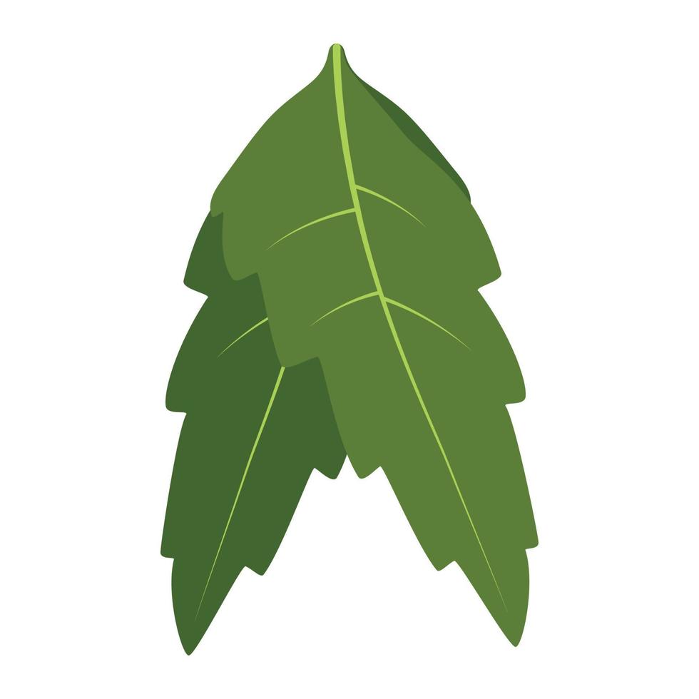 diseño plano de hojas de neem. vector