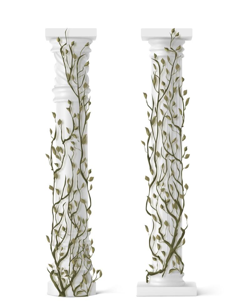 Ivy on marble column, vines with green leaves vector