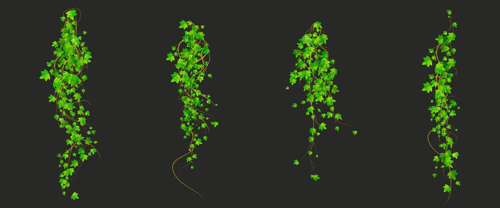 Ivy climbing vines with green leaves of plant vector