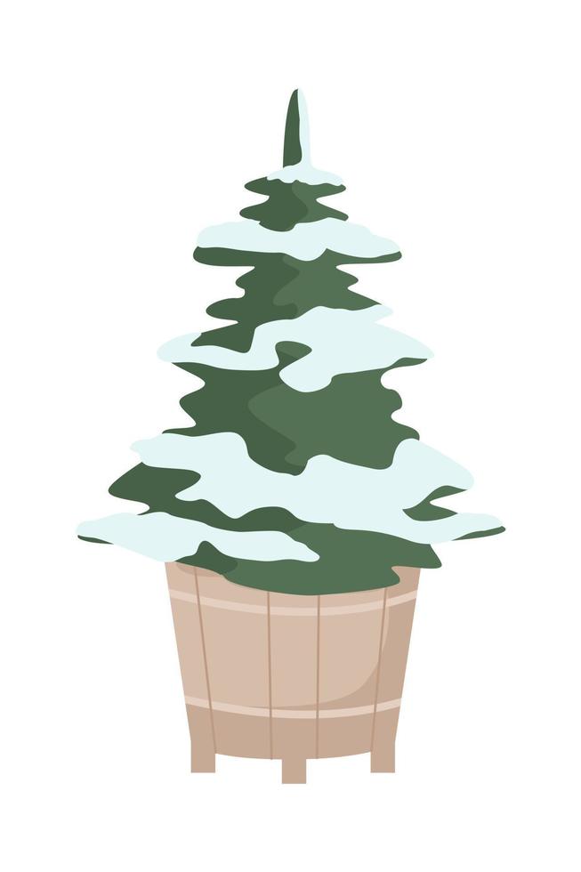 árbol de hoja perenne enano en maceta de jardinería objeto de vector de color semiplano. elemento editable. elemento de tamaño completo en blanco. ilustración de estilo de dibujos animados simple para diseño gráfico web y animación