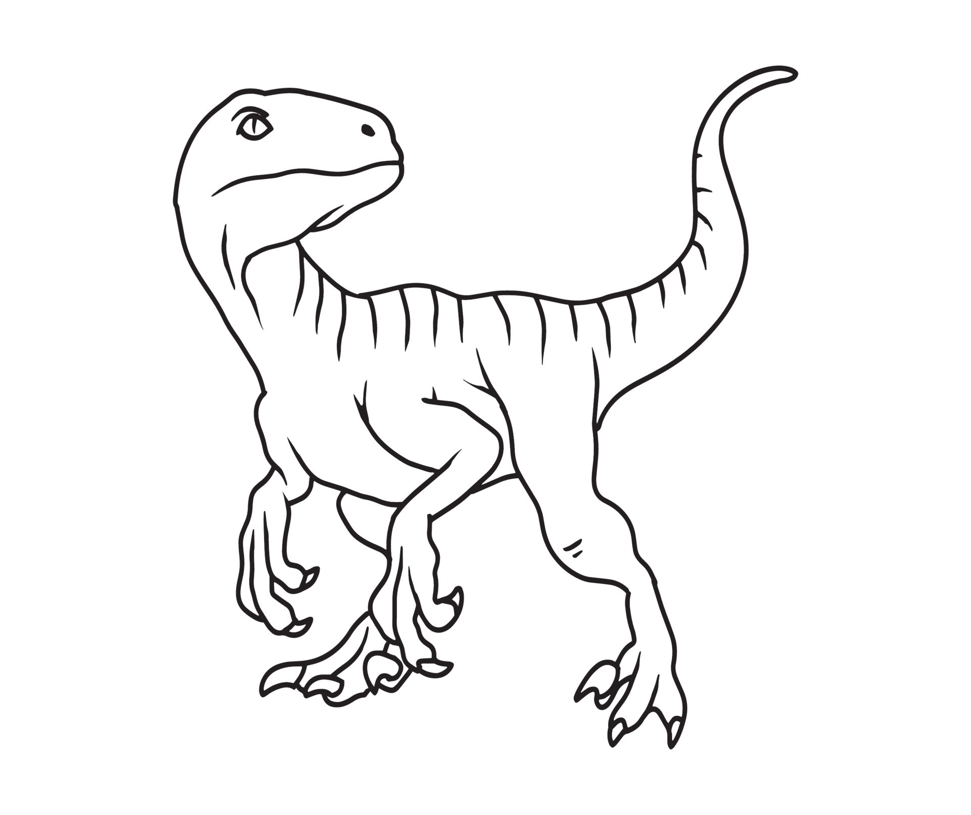 ilustración de dibujo manual vectorial editable de velociraptor. niños para  colorear página y libro para colorear 14947580 Vector en Vecteezy