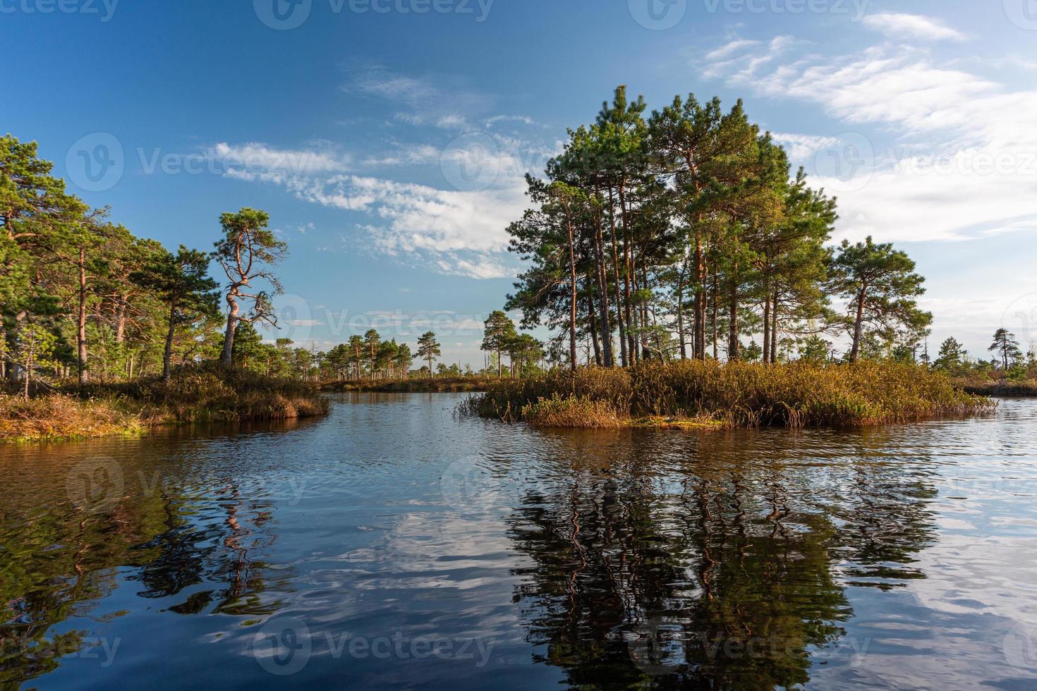 Spring in the swamp lakes photo