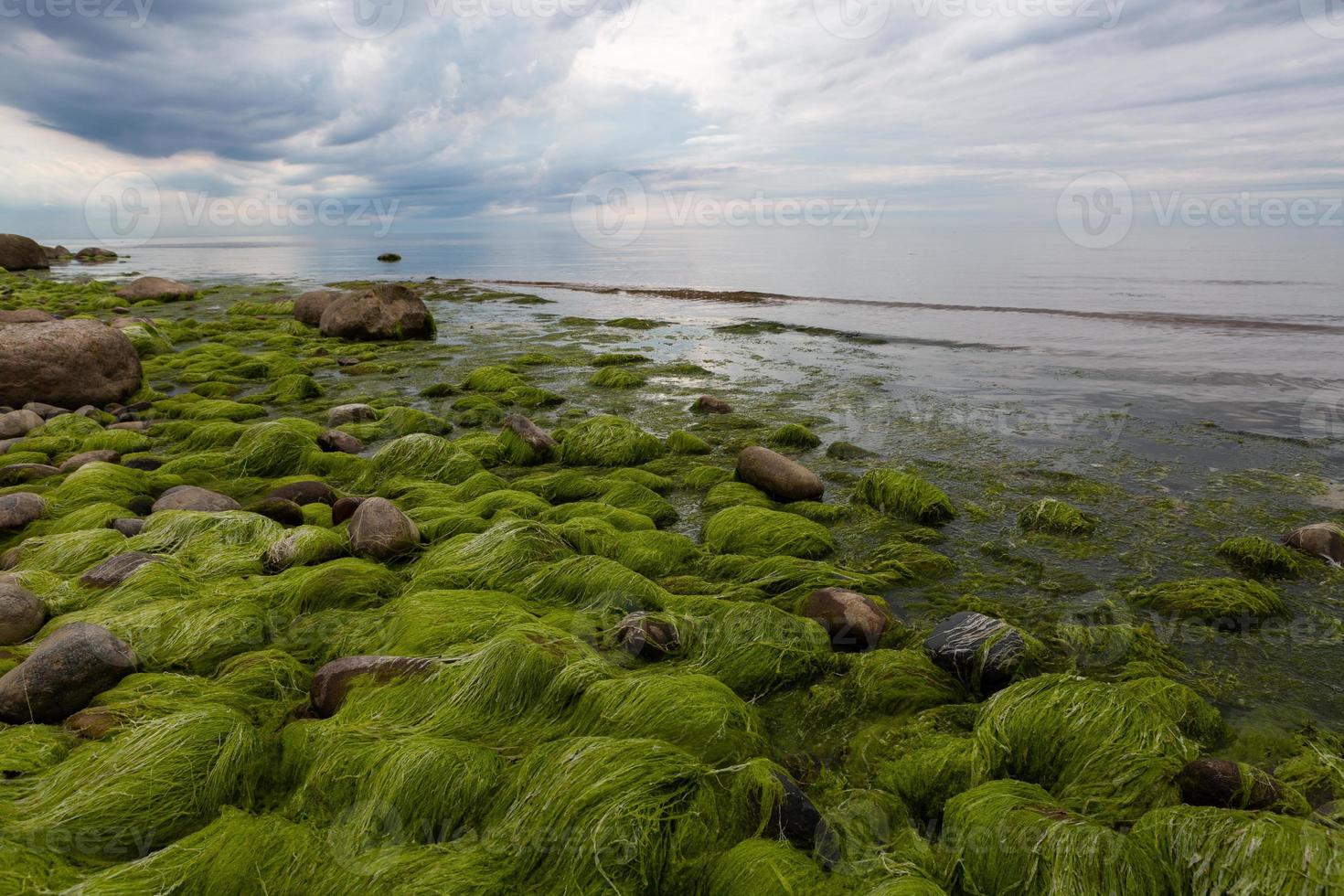 piedras en la costa del mar Báltico al atardecer foto