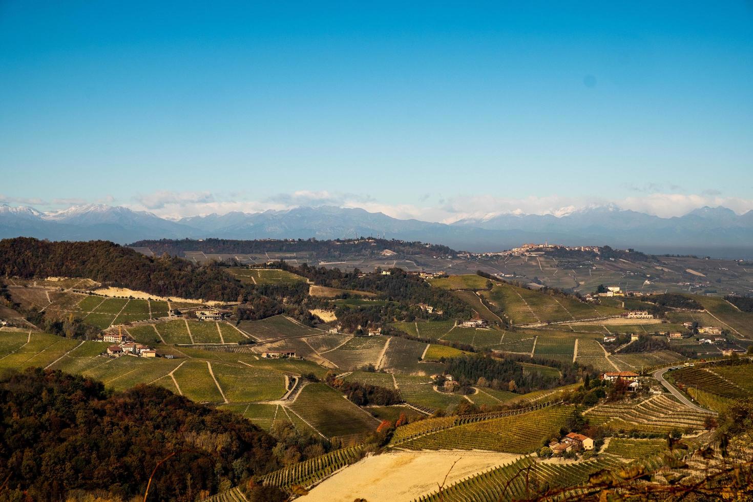 The colors of the Langhe in autumn in Serralunga D Alba photo