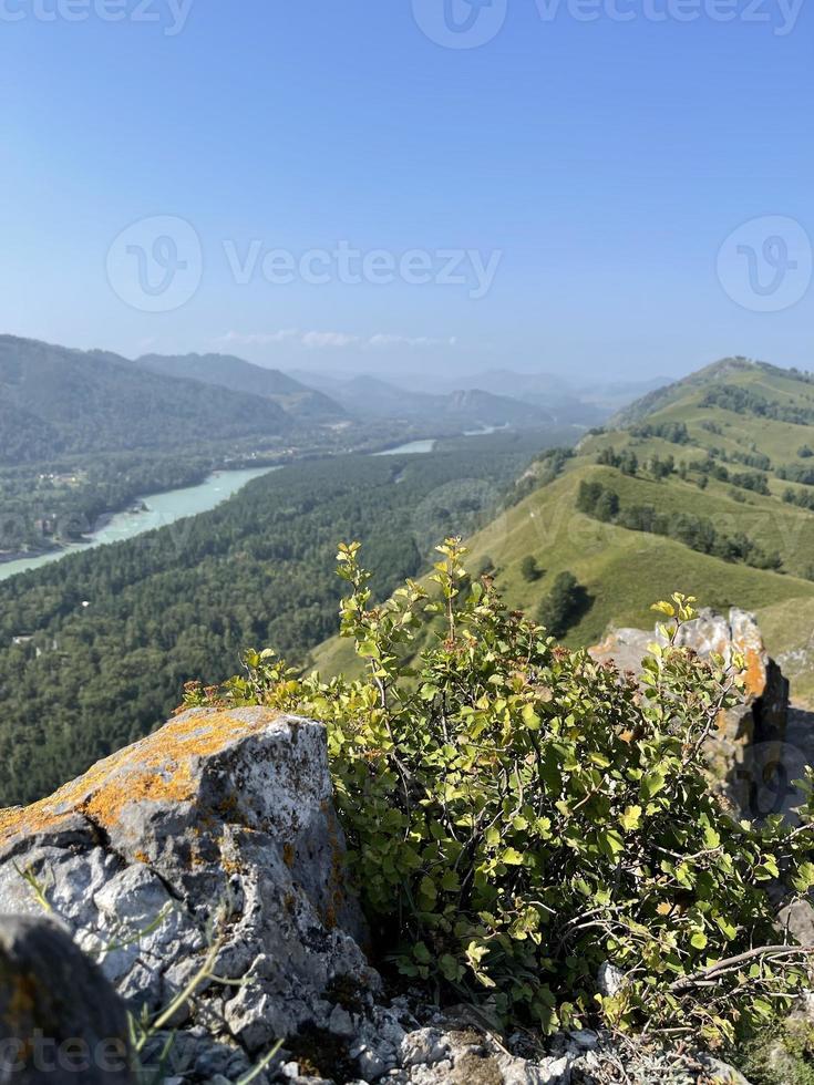 The edge of a rocky cliff and dense forest in the valley, against the backdrop of mountains photo