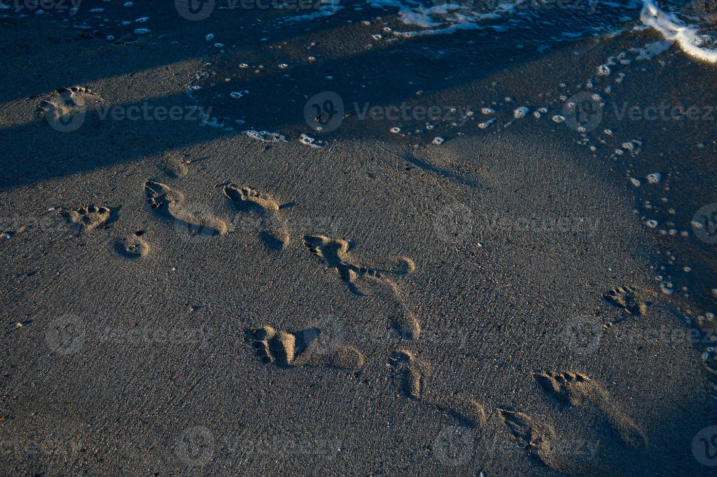 Footsteps in the sand on the beach, sandy beach, sea waves. photo