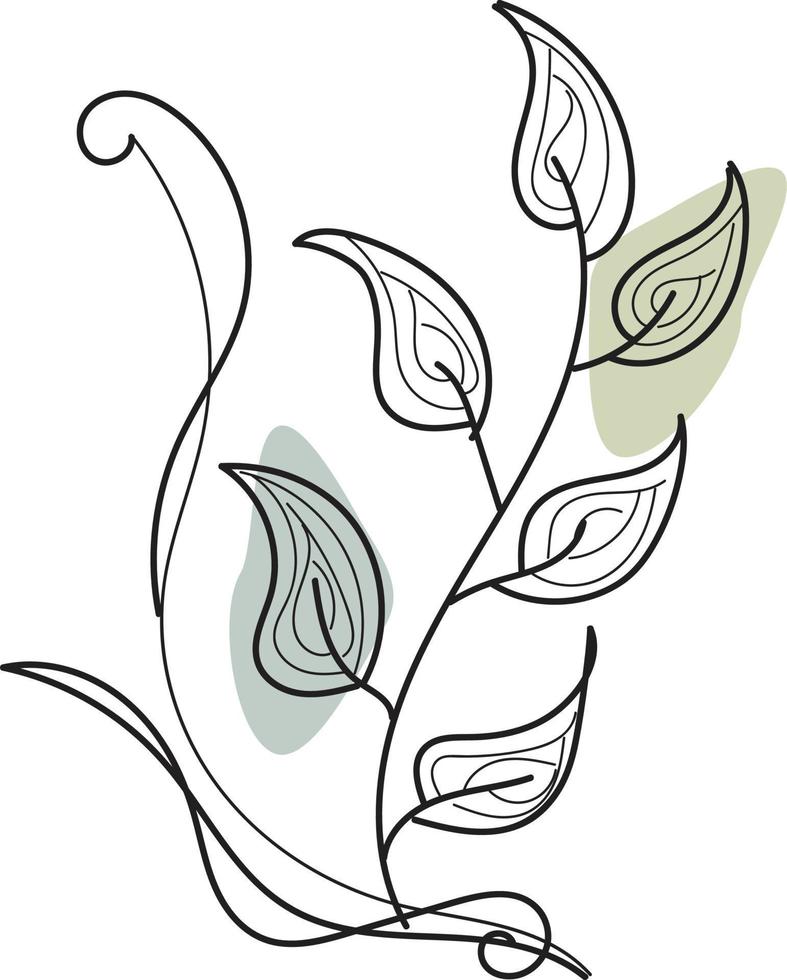Floral line art vector