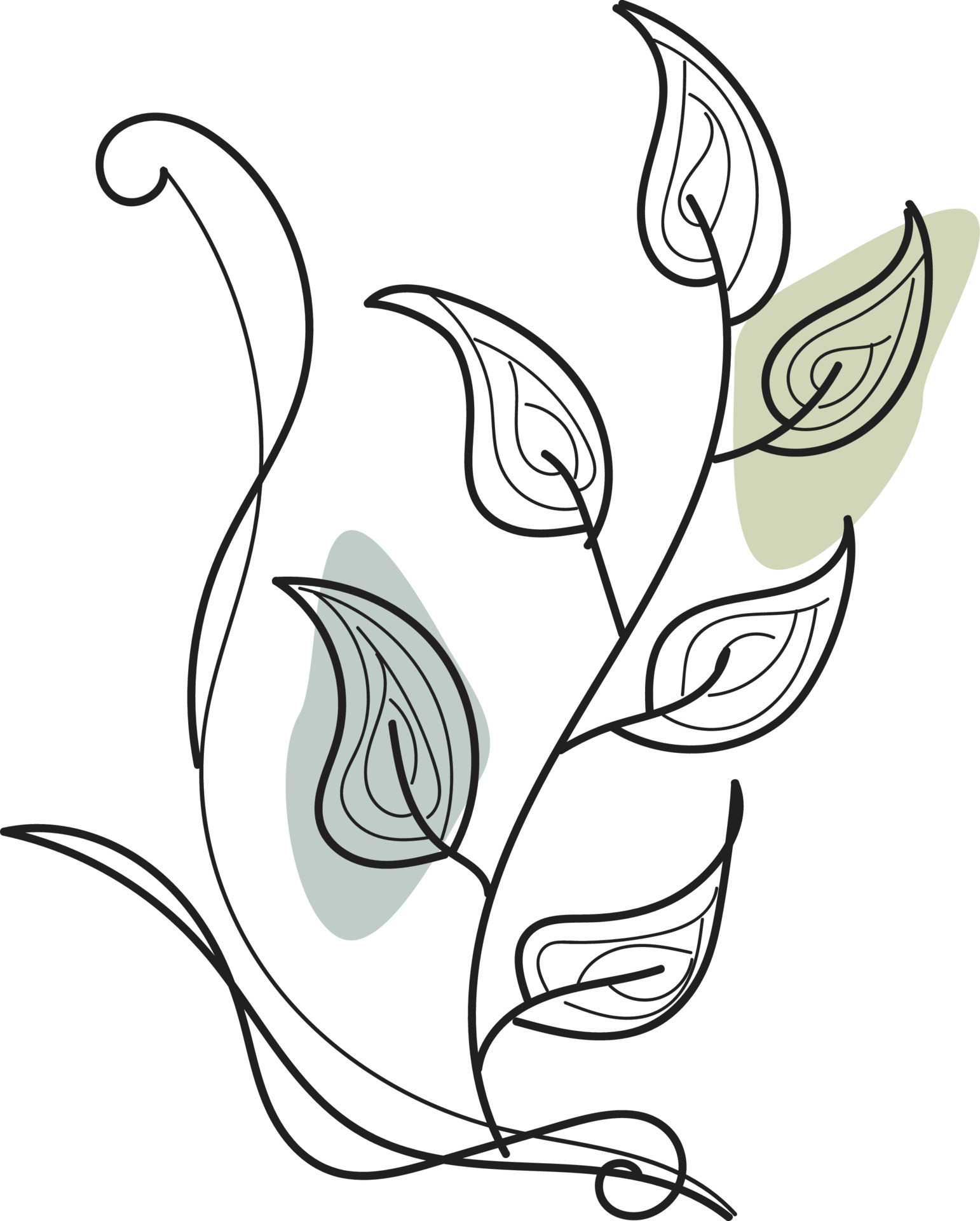 Floral line art 14953237 Vector Art at Vecteezy