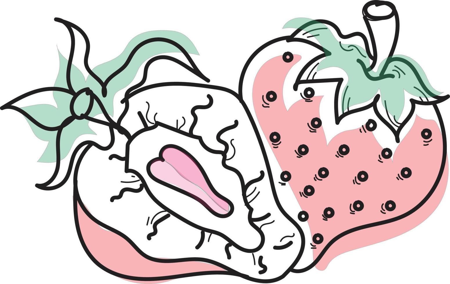strawberry liner art vector