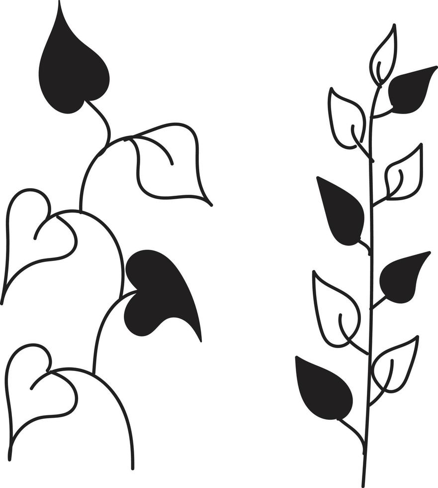 Floral leaf line art vector