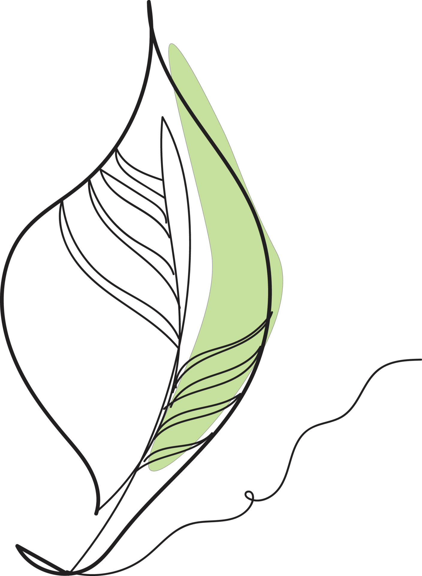 Leaf line art 14953675 Vector Art at Vecteezy